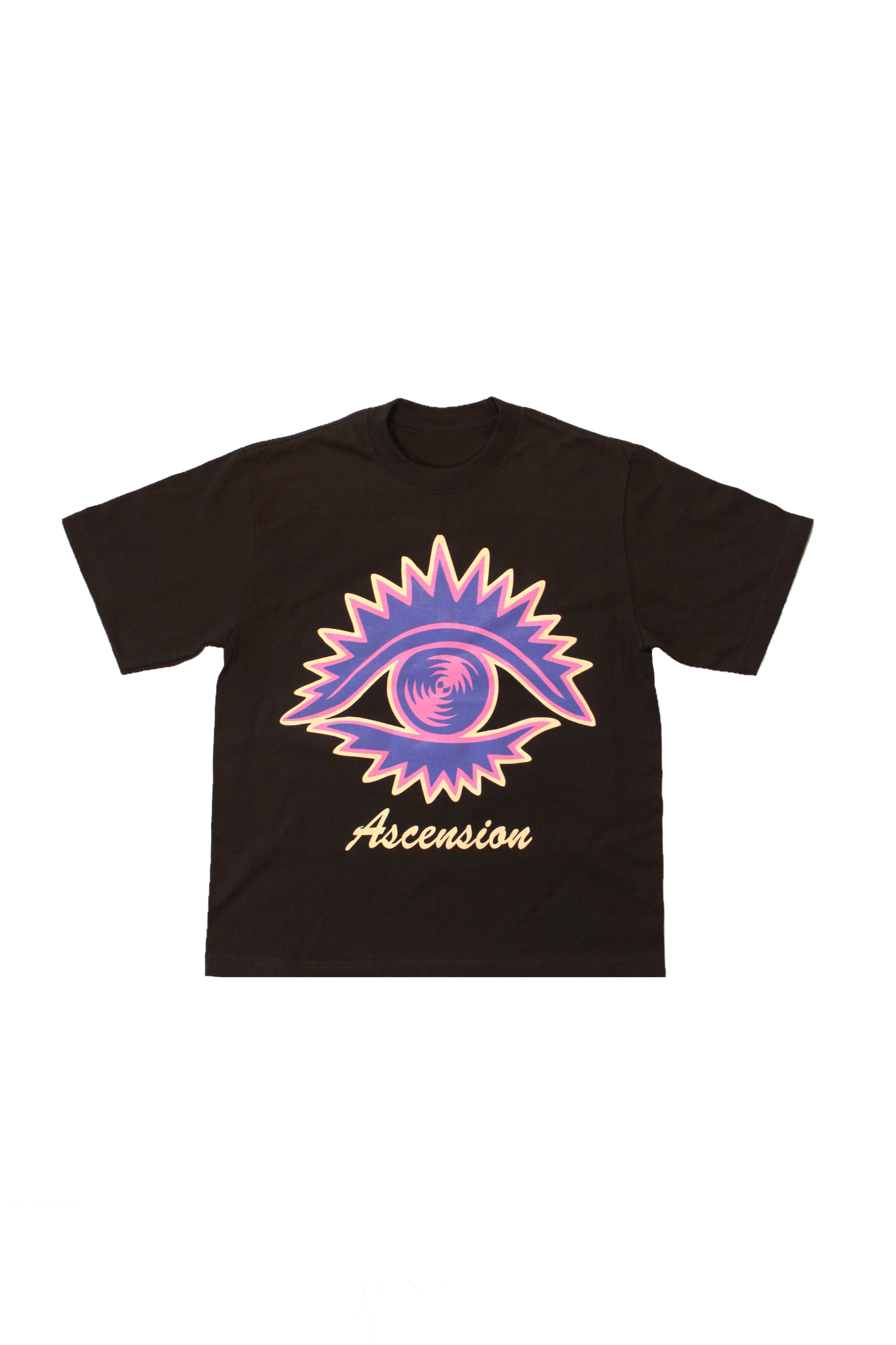 ASCENSION THE ONLY VISION T-SHIRT